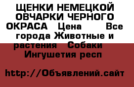 ЩЕНКИ НЕМЕЦКОЙ ОВЧАРКИ ЧЕРНОГО ОКРАСА › Цена ­ 1 - Все города Животные и растения » Собаки   . Ингушетия респ.